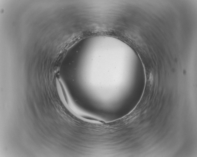 X0000060231348200511111852