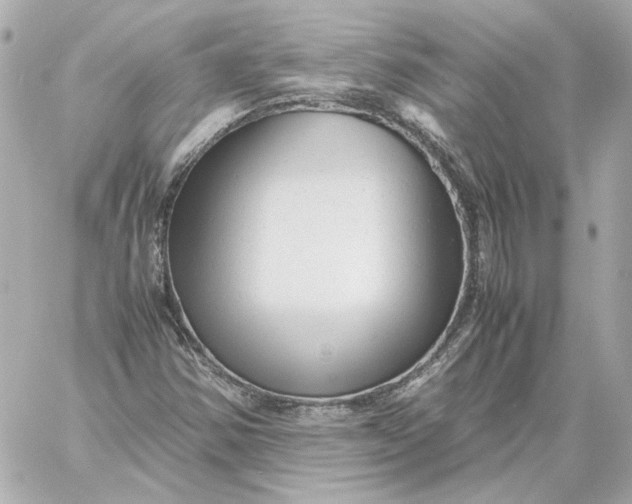 X0000060231354200511111852