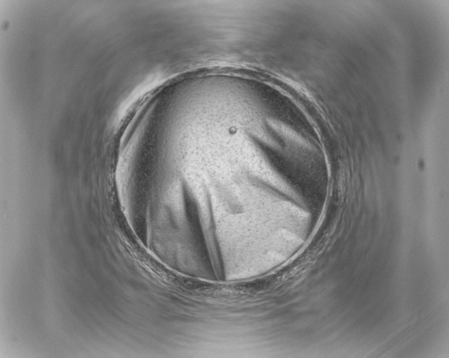 X0000060231359200511111852