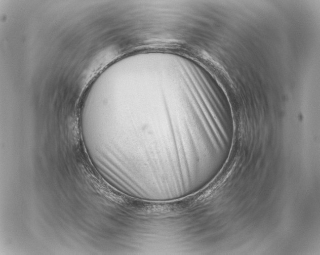 X0000060231362200511111852