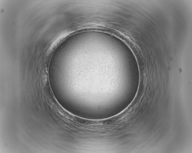 X0000060231363200511111852