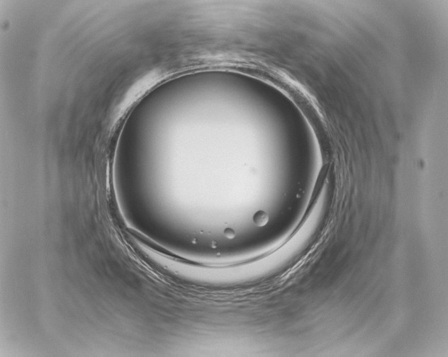 X0000060231365200511111852