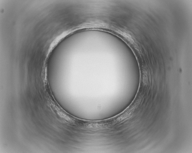 X0000060231366200511111852