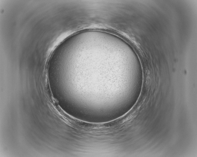 X0000060231367200511111852