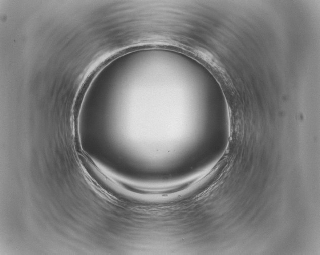 X0000060231372200511111852