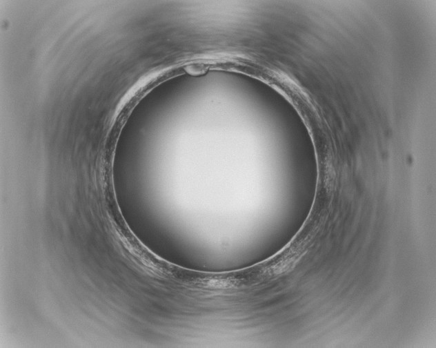 X0000060231412200511111851