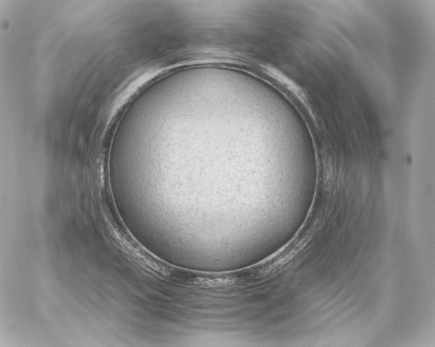 X0000060231415200511111851