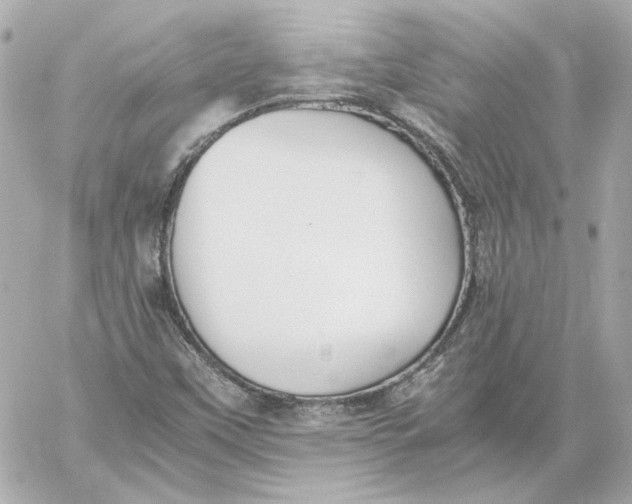 X0000060231451200511111850