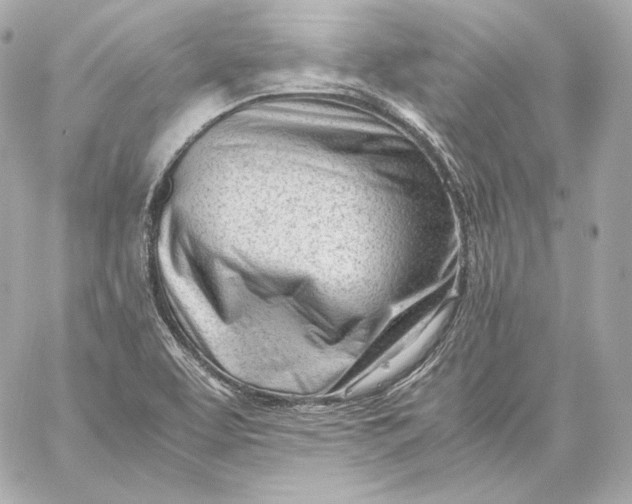 X0000060231463200511111850