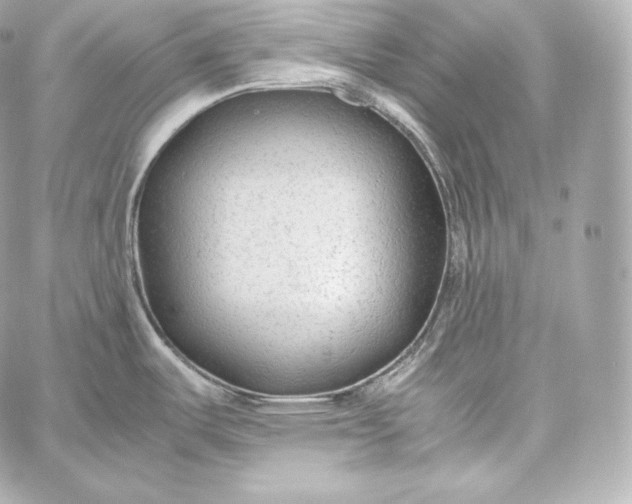 X0000060231487200511111850