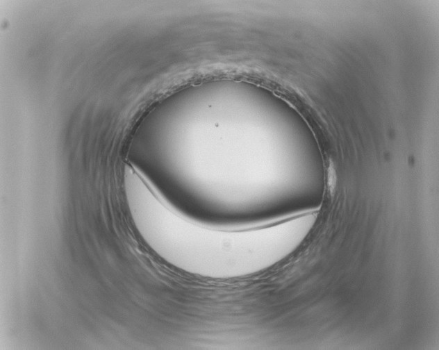 X0000060231492200511111849