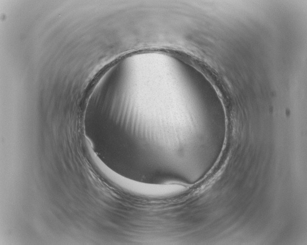 X0000060231497200511111849