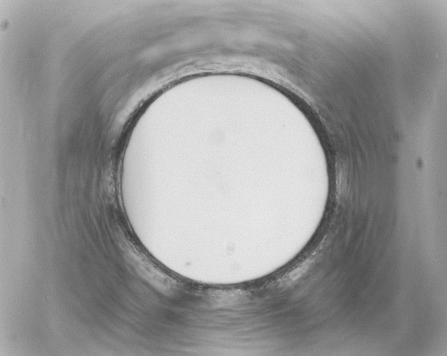 X0000060231498200511111849