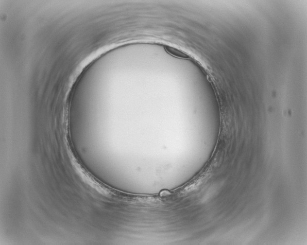 X0000060231526200511111850