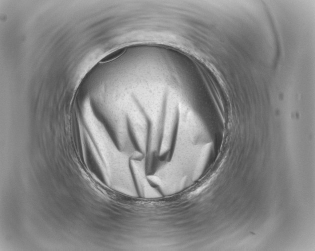 X0000060231529200511111850