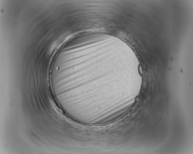 X0000060230002200511181250
