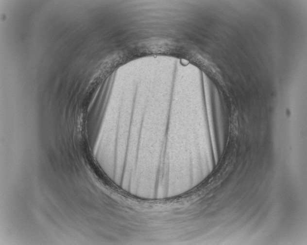 X0000060230018200511181250