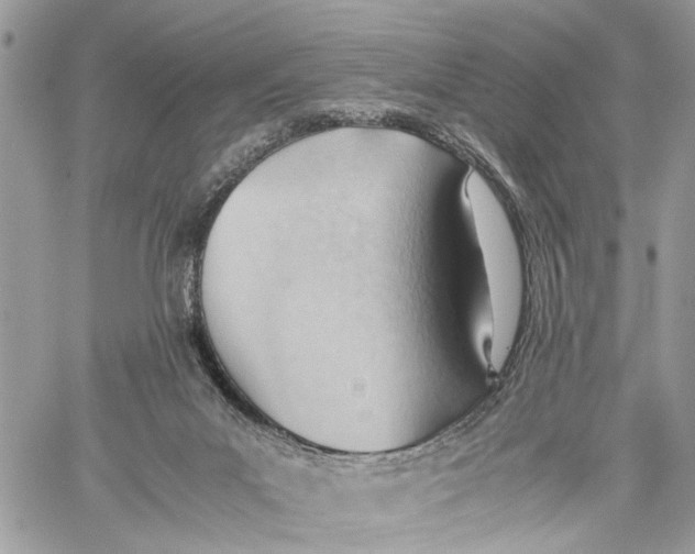 X0000060230023200511181249