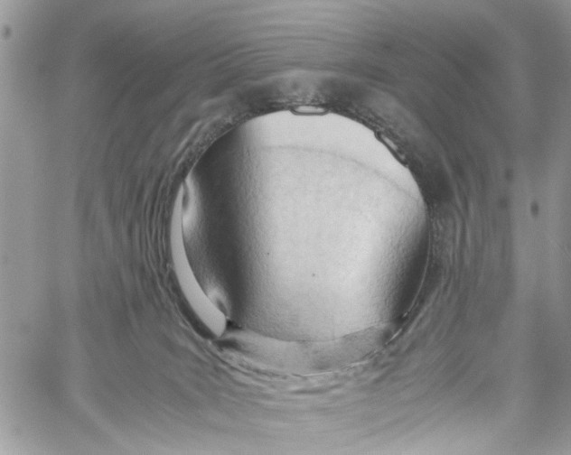 X0000060230035200511181249