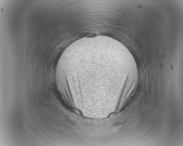 X0000060230043200511181249