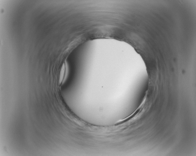 X0000060230045200511181249