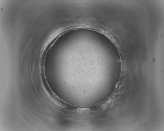 X0000060230055200511181248