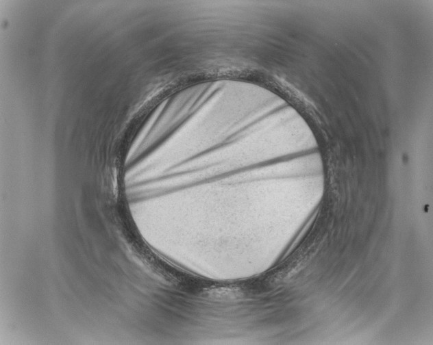 X0000060230067200511181248