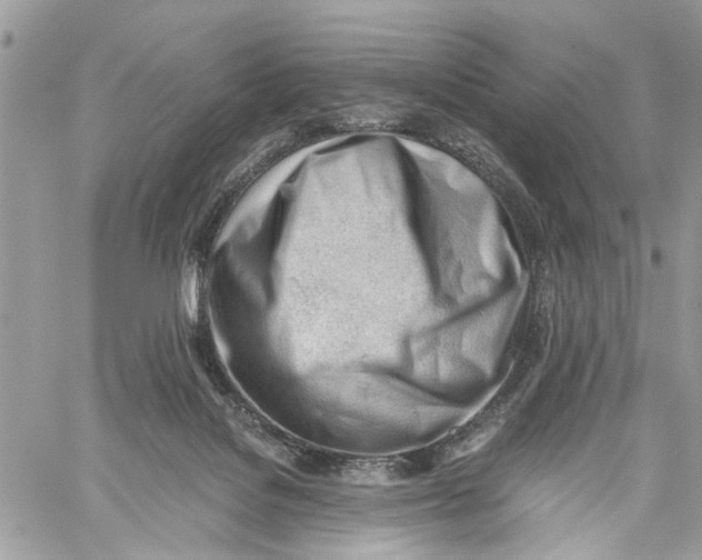 X0000060230076200511181249
