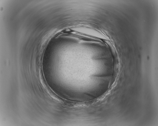 X0000060230097200511181248