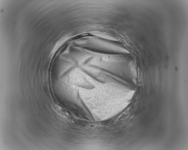 X0000060230099200511181248