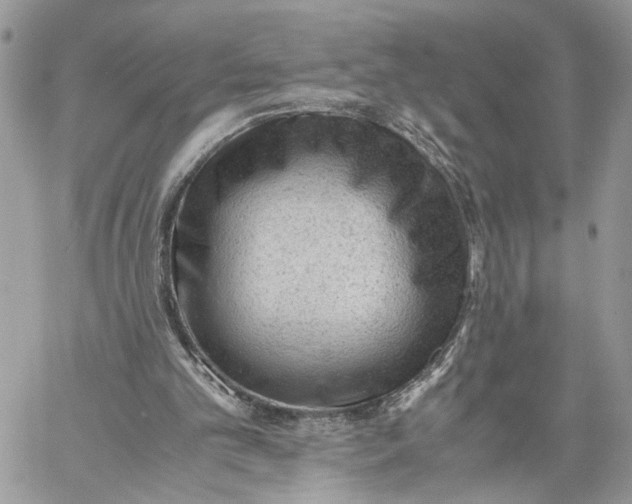 X0000060230101200511181248