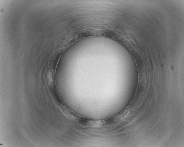 X0000060230131200511181248