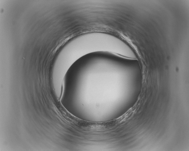 X0000060230154200511181247