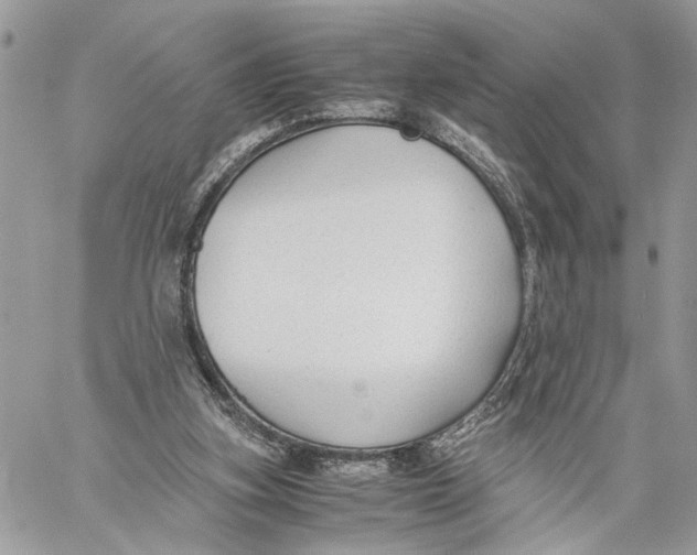 X0000060230155200511181247