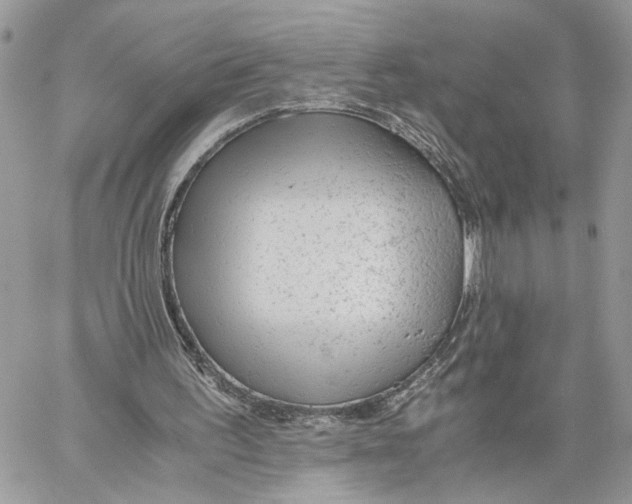 X0000060230195200511181247