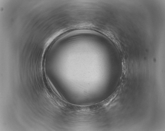 X0000060230196200511181247