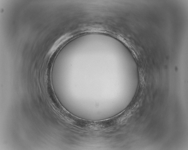 X0000060230199200511181246