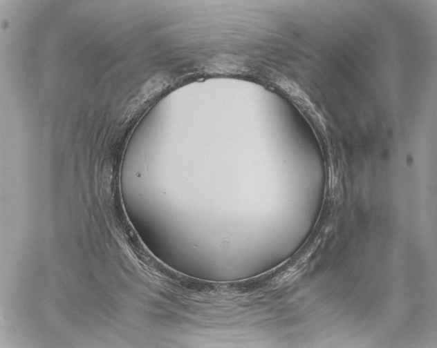 X0000060230201200511181246