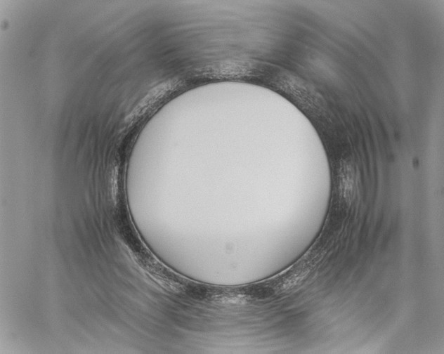 X0000060230206200511181246
