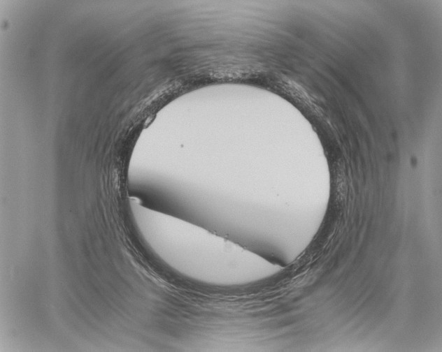 X0000060230211200511181246