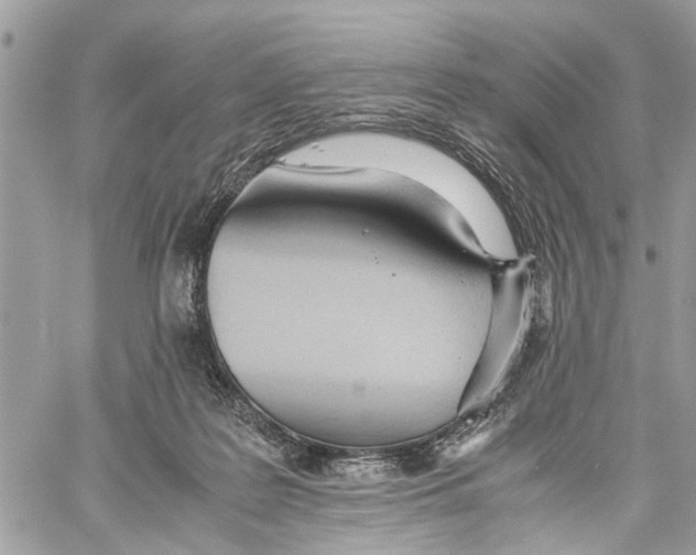 X0000060230219200511181246