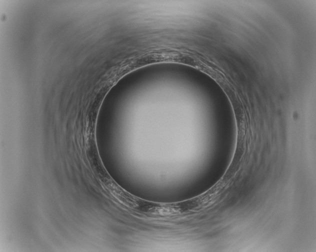 X0000060230223200511181246