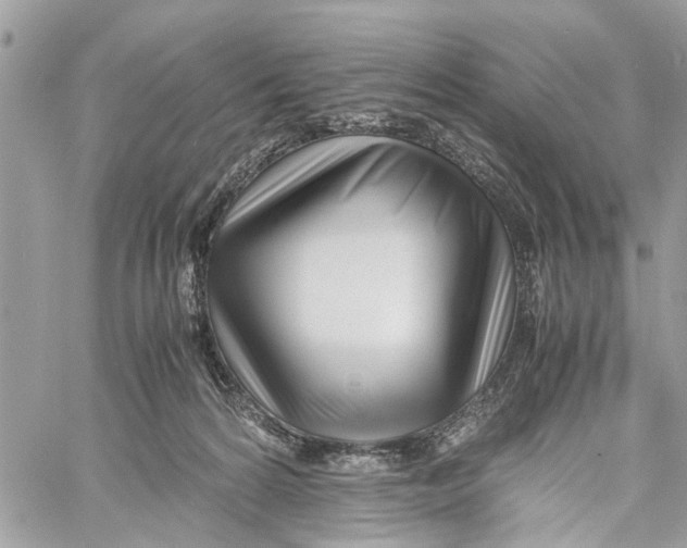X0000060230224200511181246