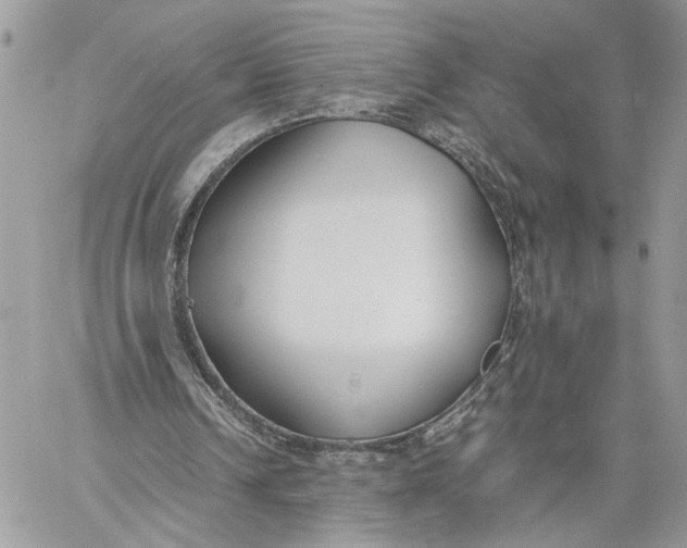 X0000060230242200511181245