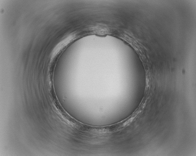 X0000060230245200511181245