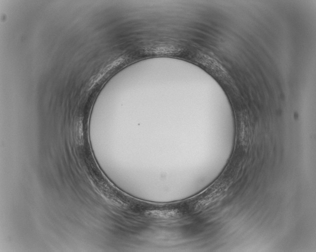 X0000060230251200511181245