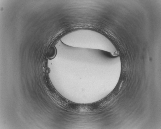 X0000060230264200511181245