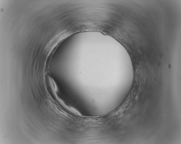 X0000060230290200511181245