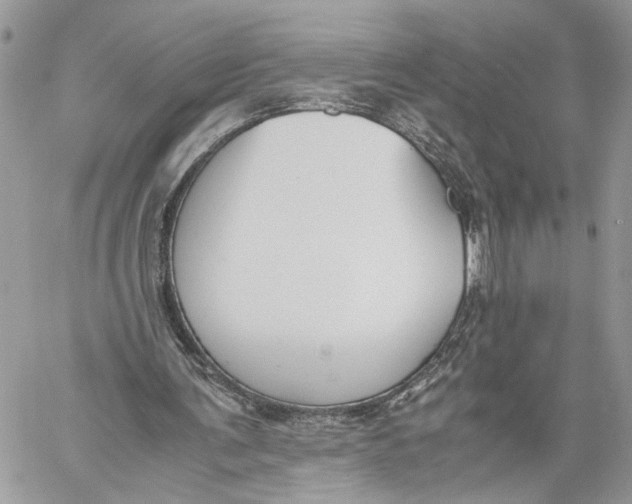 X0000060230291200511181245