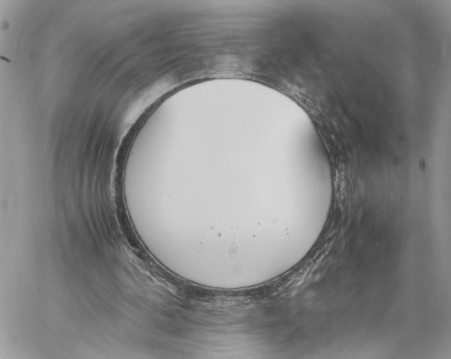 X0000060230292200511181245